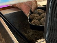 -叶氏麻糍(鼓浪屿店)