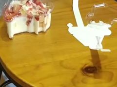 -向阳松鼠(江口店)