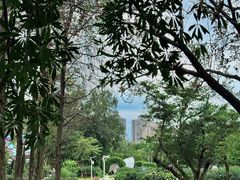 -人民公园(罗湖区)