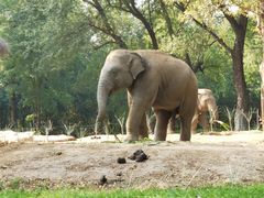-北京野生动物园