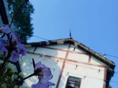 -云里小坐·小院里·团建·宴请·下午茶(三圣乡店)