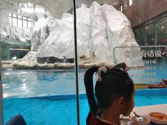 -帝企鹅自助餐厅•儿童岛•真企鹅(长隆企鹅酒店)