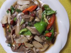 -煲来饱去冷水鱼