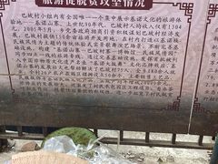 -西双版纳基诺山寨