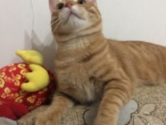 -贝利宠物医院·骨科·眼科·肿瘤转诊中心(南坪诊疗中心)
