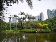 -广州珠江公园