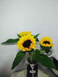 -美肤盾祛痘·问题肌头疗管理中心