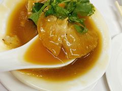 红烧牙揀翅-新陶陶酒家