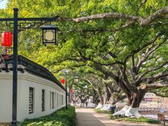 -江心屿景区