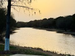 -贡湖湾湿地公园
