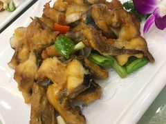 -顺德佬(石厦店)