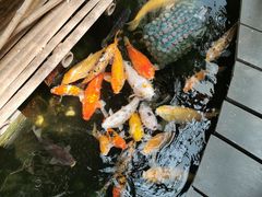 -上海大自然野生昆虫馆(东方明珠·爬宠昆虫探索中心)