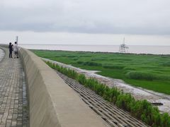 -南汇嘴观海公园