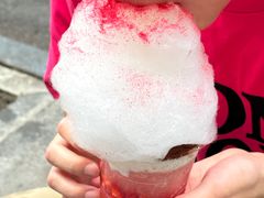-沙胆彪炭炉牛杂煲(成都玉林店)