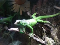 -酷嗒动物文化乐园(cutezoo西溪乐天城店)