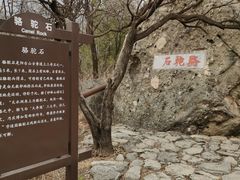 -阳台山自然风景区