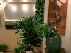 -青曼SPA·按摩·采耳·足道(龙之梦店)