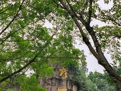 -峨眉山报国寺