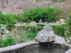 -徂徕山森林康养度假谷温泉