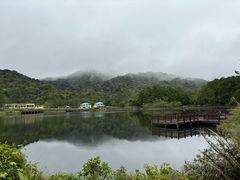 -海南热带雨林国家公园吊罗山景区