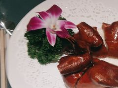 -谢氏老金口七号宴(武昌大道店)