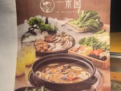 -一朵菌·野生菌探索家火锅(南亚店)