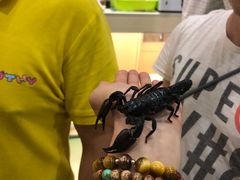 -藦茜花园宠物主题亲子互动体验馆(国顺东路店)