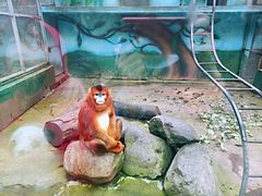 景点-宁波野生动物园