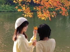 -田野绿世界