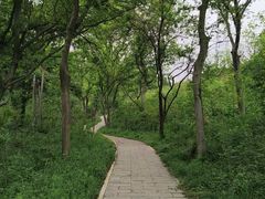 -青龙山国家森林公园