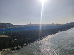-枸杞岛