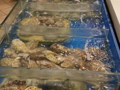 -火舞泰·泰式海鲜火锅餐厅(世纪城店)