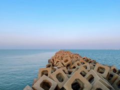 -东疆建设开发纪念公园