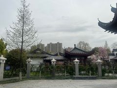 -堤角公园