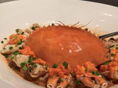 -三利音·浦之舟(滨江大道店)