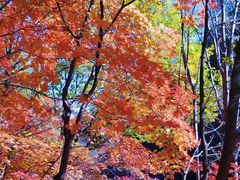 -本溪关山湖风景区