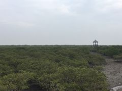 -北海金海湾红树林生态旅游区