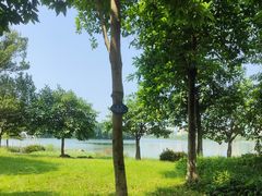 -飞来湖湿地公园