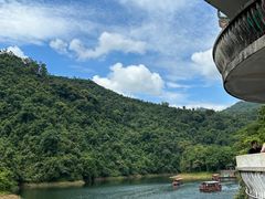 -鼎湖山风景区