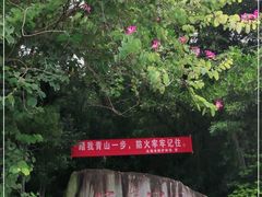 -冠头岭