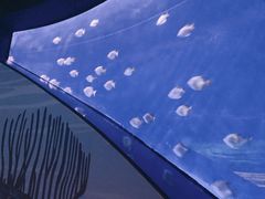 -沈阳海洋探索中心