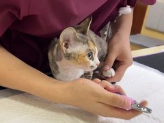 -美联众合动物医院·24h转诊中心