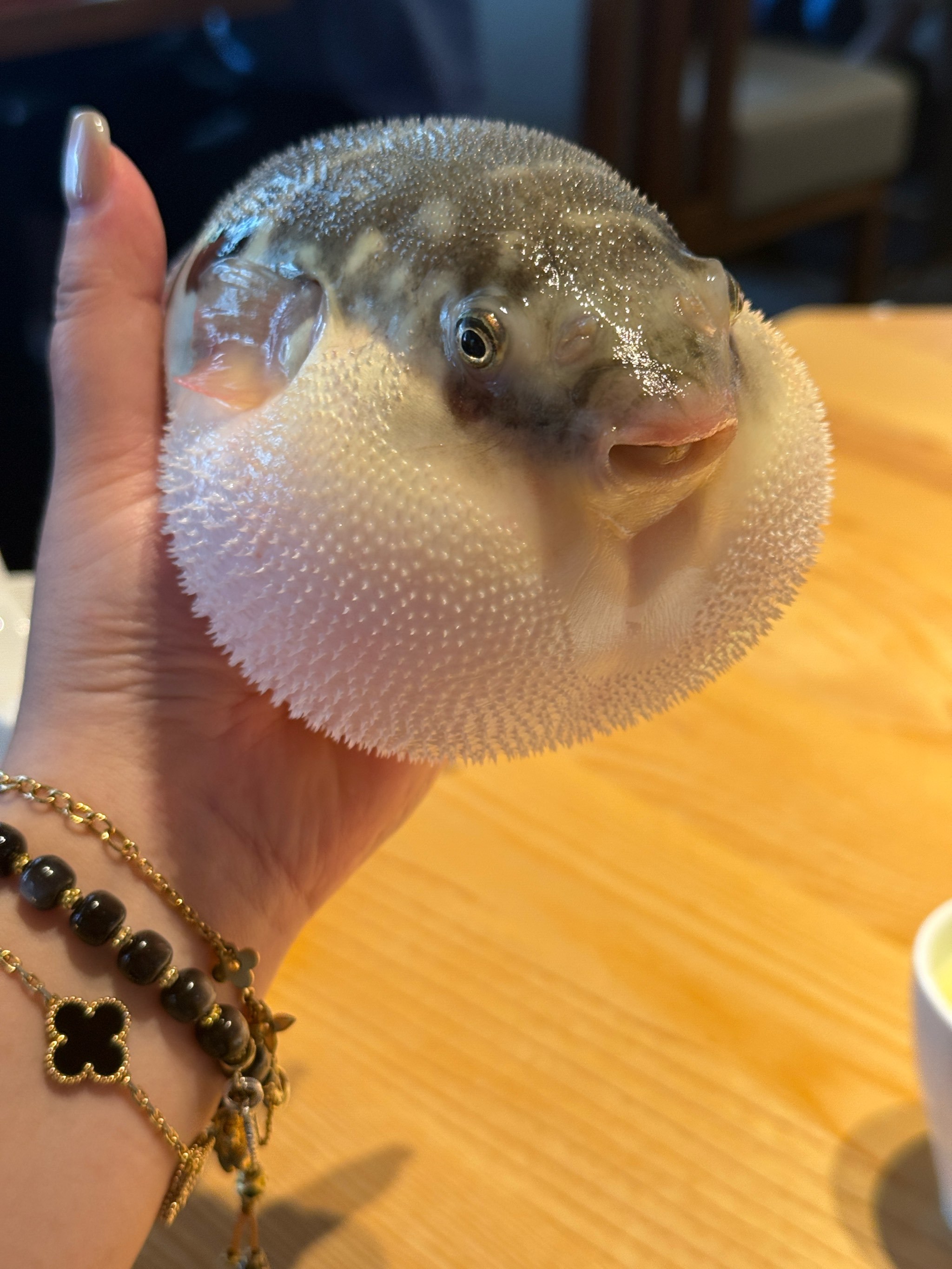 周末户外一日游的美好