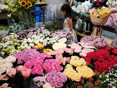 -双季花艺园艺市场(浦东店)