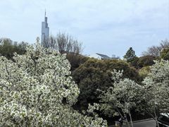 -南京城墙景区