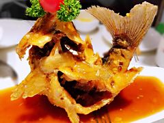 糖醋鲤鱼-闫府私房菜·百年鲁菜(欧亚店)