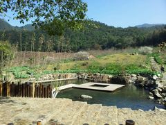 -广州市石门国家森林公园