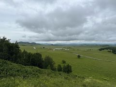 -御道口草原森林风景区
