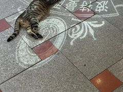 -波特曼西餐厅(南岗店)