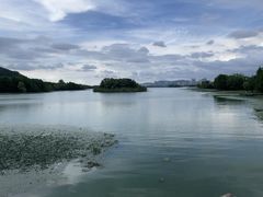 -长广溪湿地公园